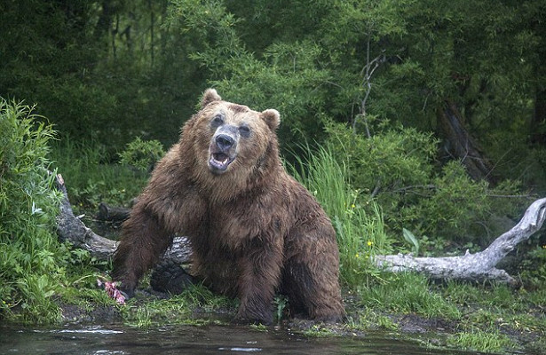 ВОТ ЭТО РОССИЯ!!