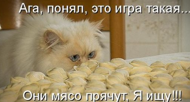 https://proprikol.ru/wp-content/uploads/2019/06/prikolnye-kartinki-pro-koshek-s-nadpisyami-2.jpg