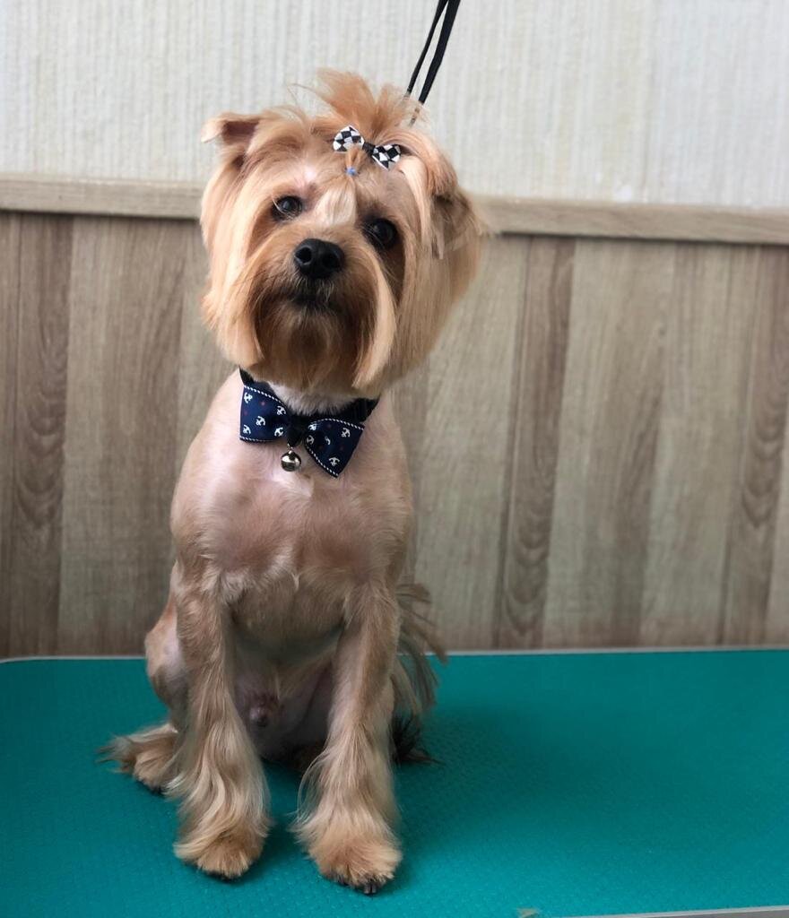 Вот такая красота! 