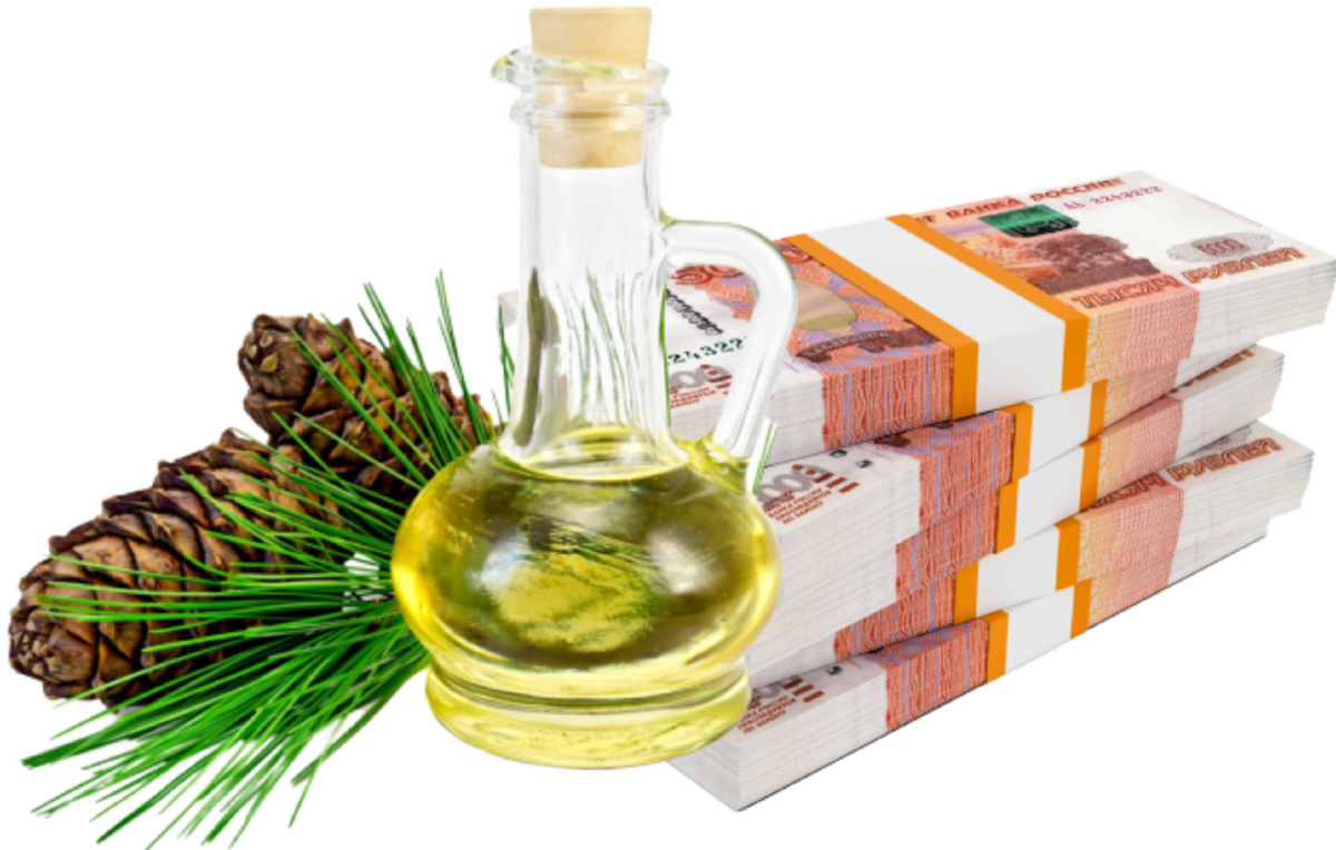 бергамот - привлекает жизненную энергию; лимон - способствует адаптации к новым обстоятельствам;
орхидея - вносит финансовую стабильность;
пачули - одаривает достатком, привлекает богатство;
розмарин - хранитель энергии, не дает жизненной энергии покинуть ваш дом;
сосна - обеспечивает постоянство и стабильность, прочность финансового положения;
кедр: привлекает деньги;
корица: способствует процветанию, успеху в делах, побуждает стремление к творчеству, развивает умственные способности;
мускат: способствует процветанию;
имбирь: дает богатство;
вербена: удача;
апельсин: дает деньги и удачу;
гвоздика садовая: дает богатство и процветание;
жасмин: дарит деньги;
мята перечная: дает энергию и деньги