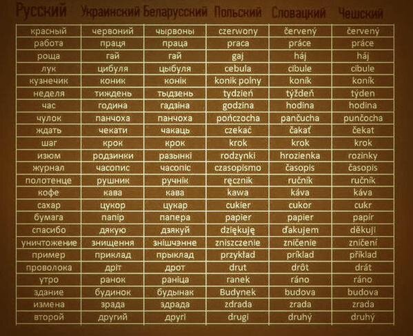 Что такое список Сводеша и зачем он лингвистам?