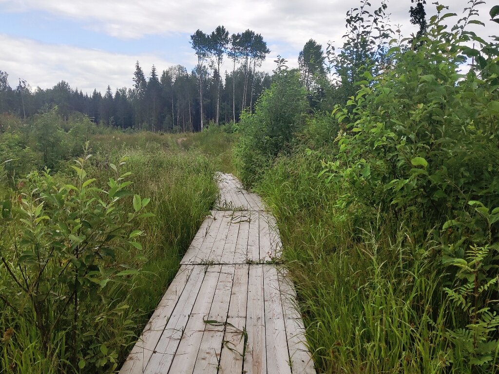 Погода западная двина тверская область. Западная Двина Лесохино.