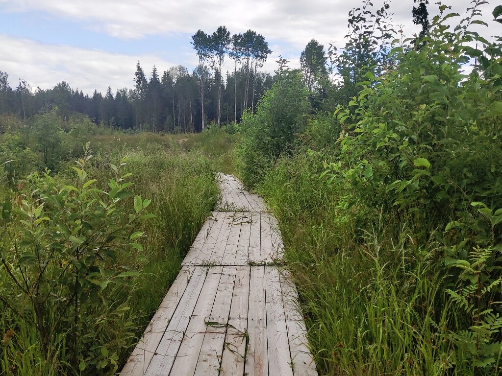 Подслушано западная двина