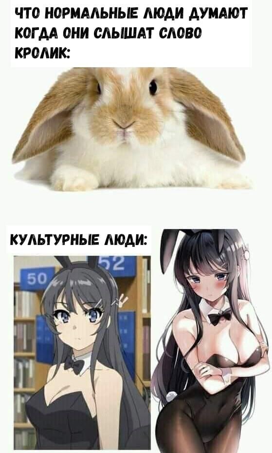 Этот глупый сын не понимает мечты девочки зайки