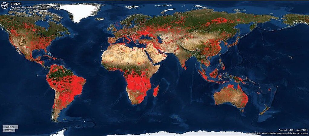   1. Карта пожаров в мире, охватывающая период с 19 июля по 17 августа. Как видно, по сравнению с какой-нибудь Бразилией, Конго или даже США, с пожарами в России дела обстоят неплохо.