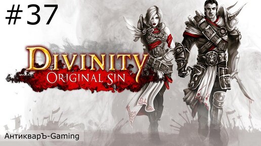 Divinity: Original Sin Enhanced Edition. Прохождение. Серия №37