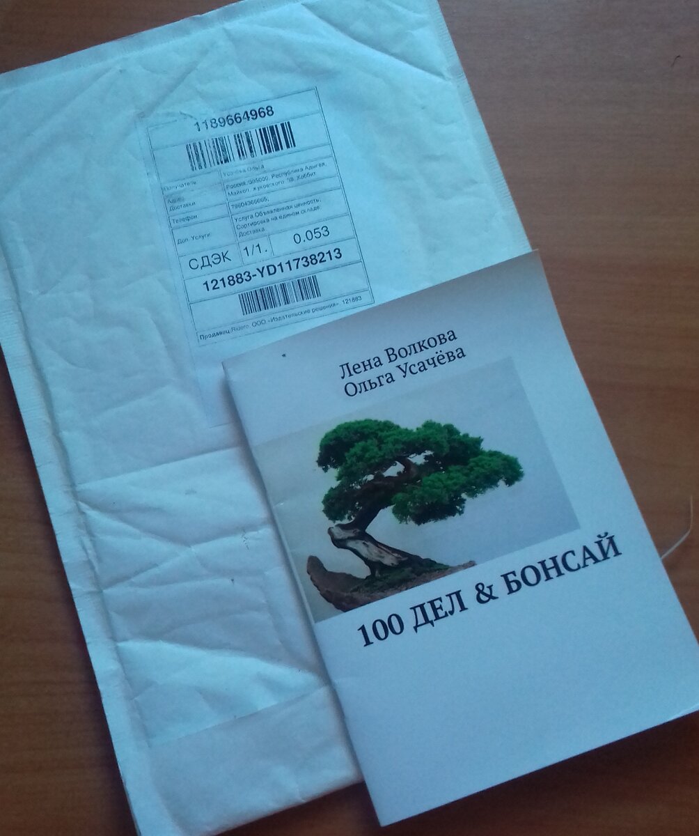 Тот самый пробный экземпляр моей книги. Фото принадлежит автору