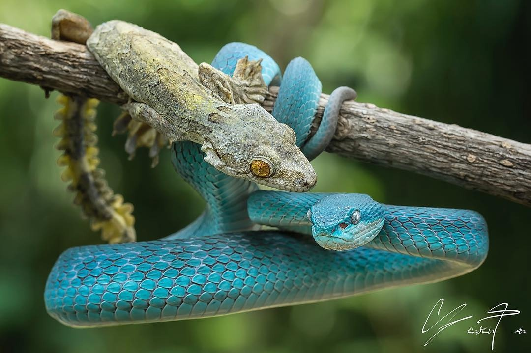 Мы с подружкой на прогулке. Романтика! 