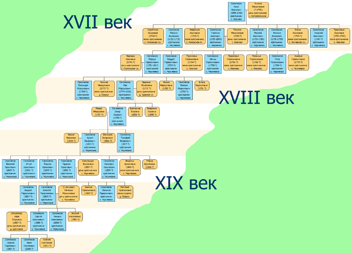 Родословная Саломасовых в XVII-XIX вв.