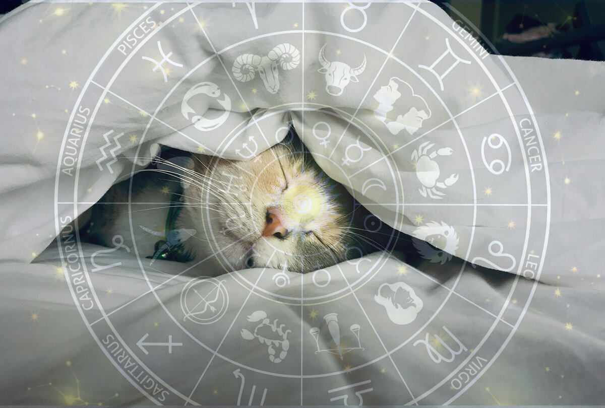 Иллюстрация. Гороскоп.