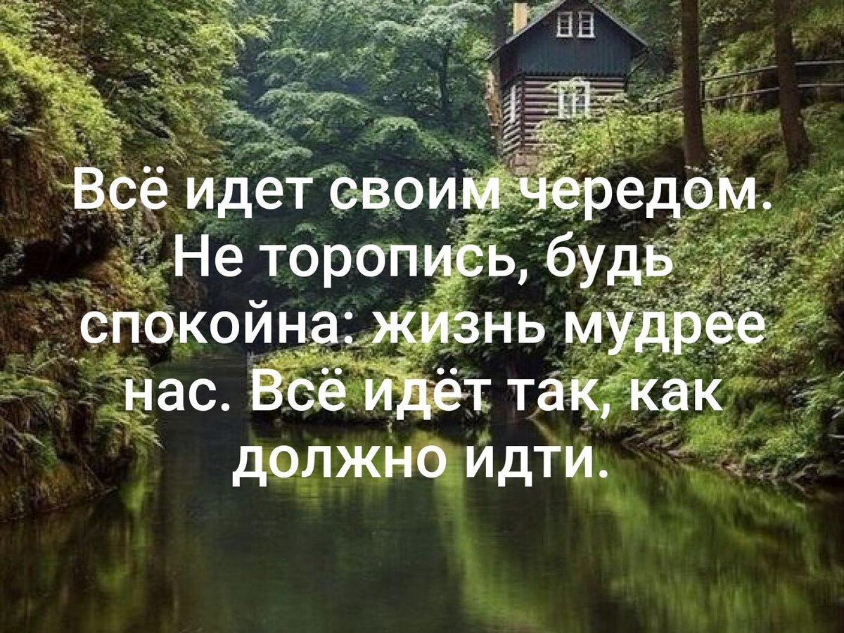 Как обрести радость жизни в унылой череде успехов ответ на картинку