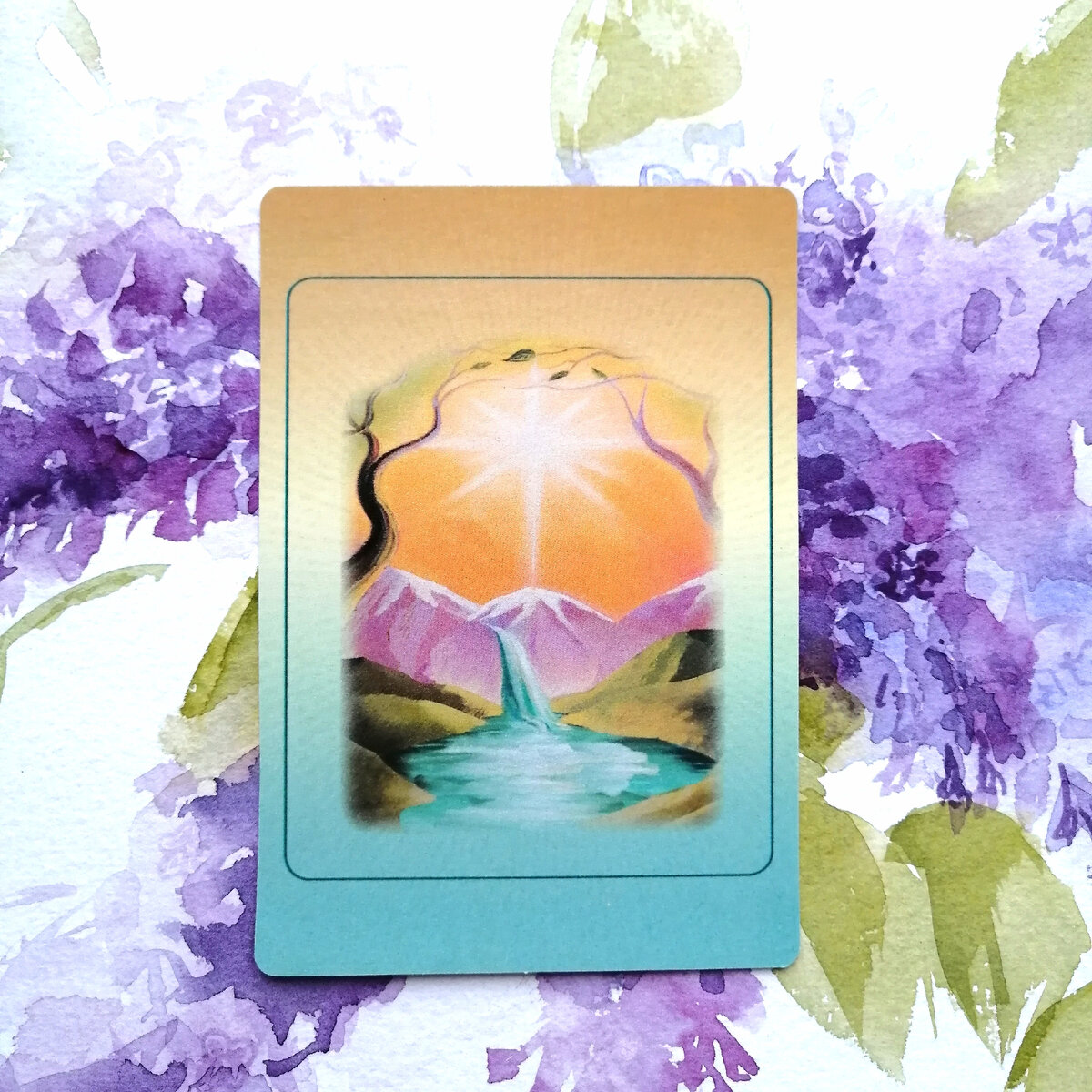 Личное фото автора.