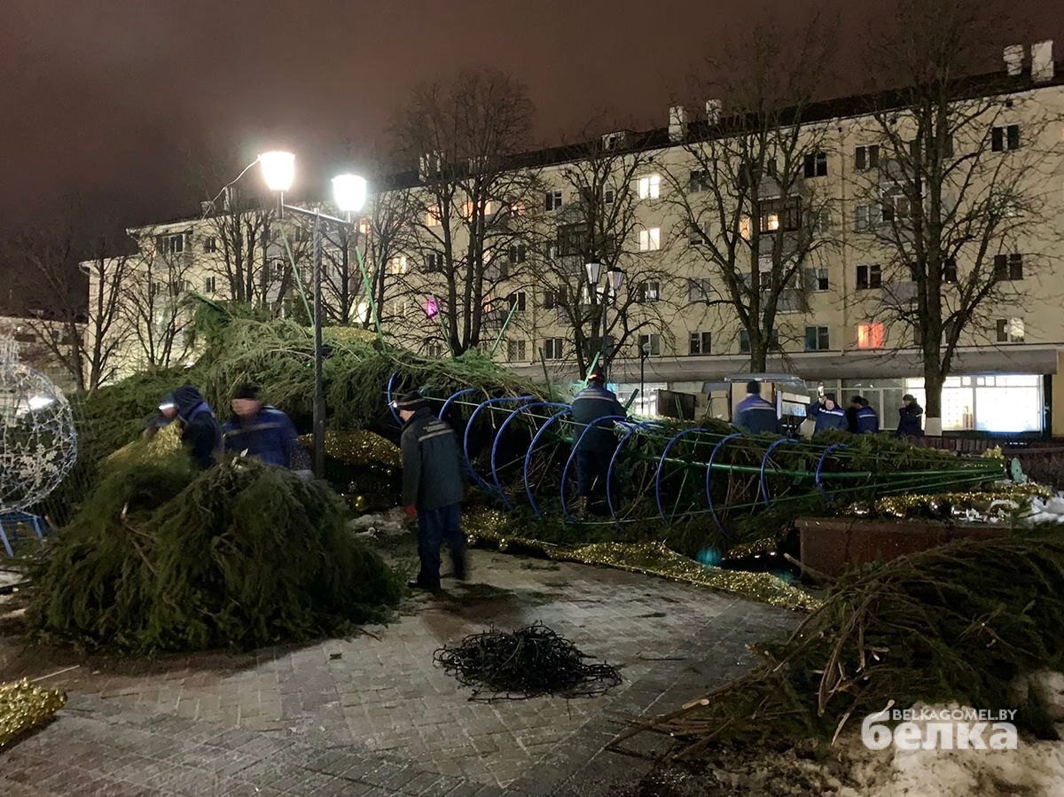 В Гомеле падают елки и улетают крыши. Не выходите из дома | Журнал «Белка».  Гомель. Беларусь | Дзен