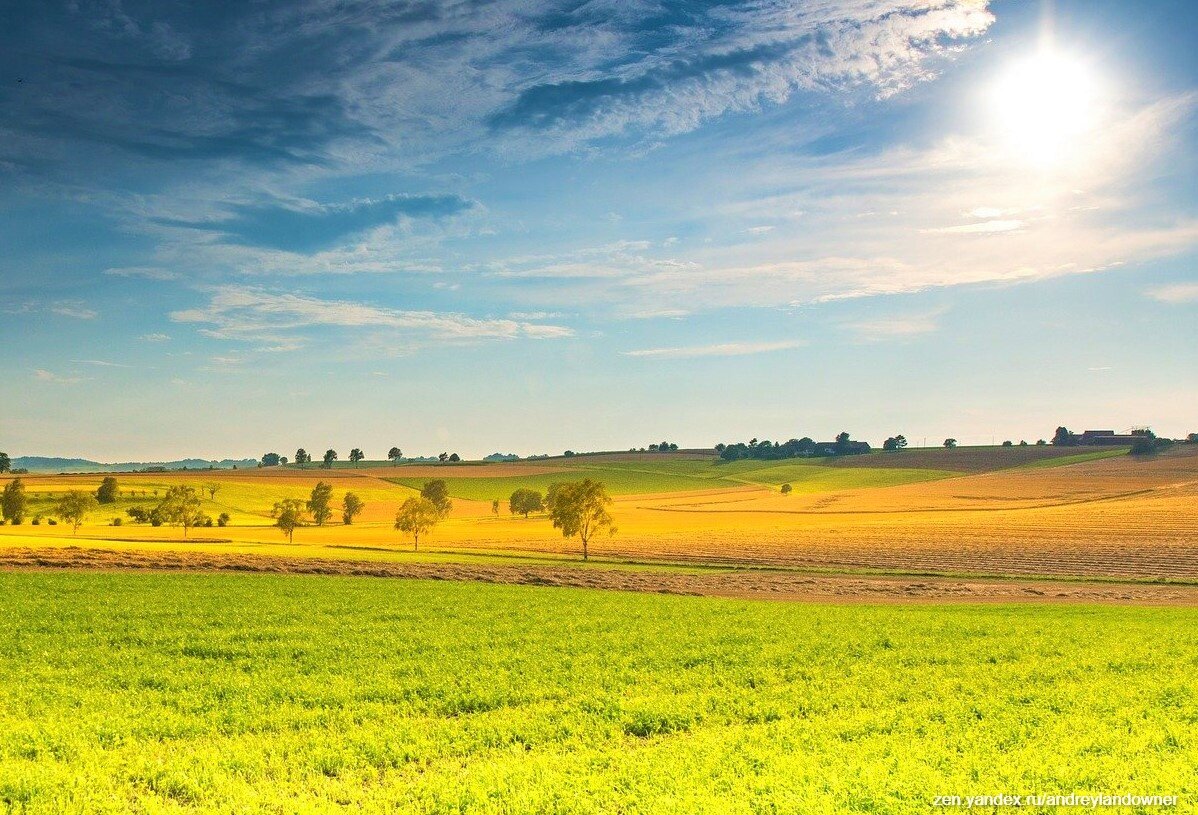 Красивое поле. Летнее поле. Рассвет солнца. Летний пейзаж. Лето солнце.