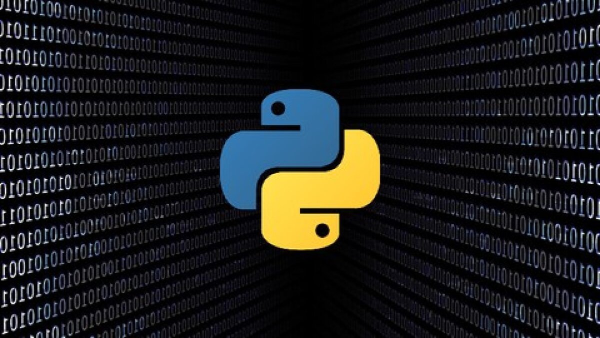 Пайто. Питон программирование. Язык программирования Python. Питон программирование язык программирования. Питон 3 программирование.