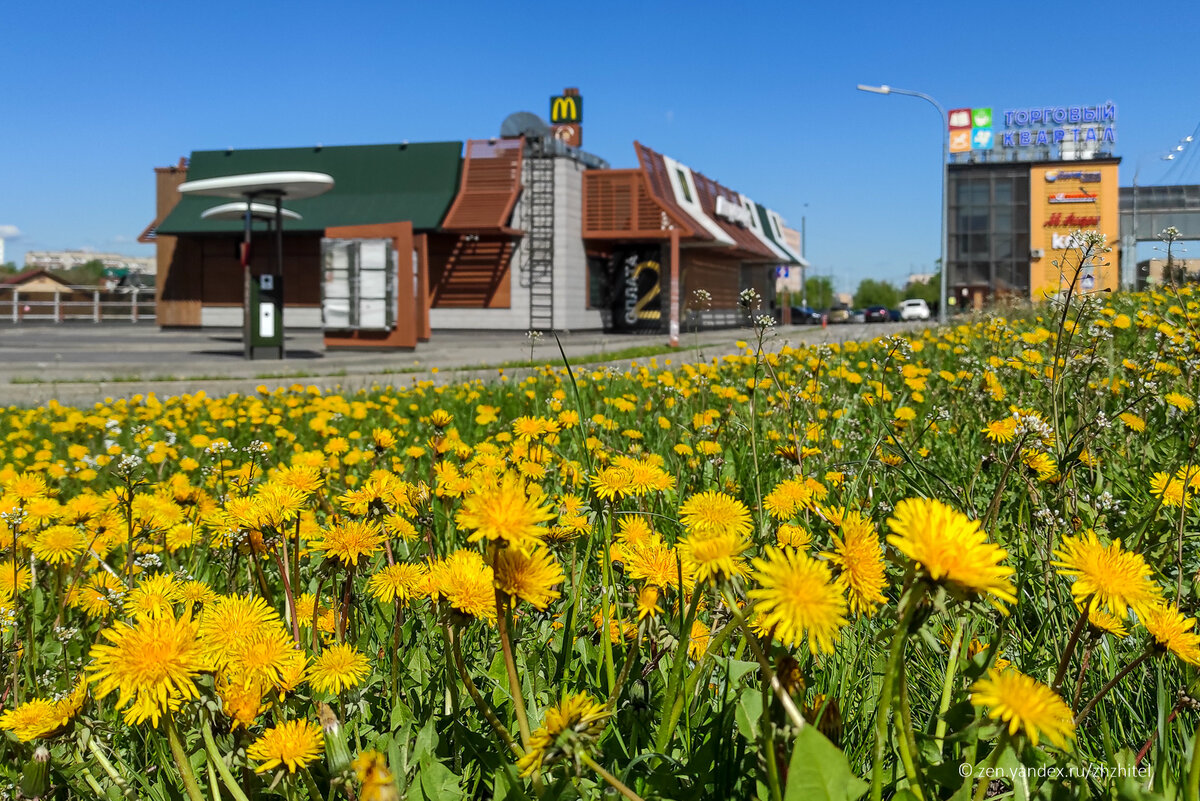 Этот ресторан сейчас закрыт