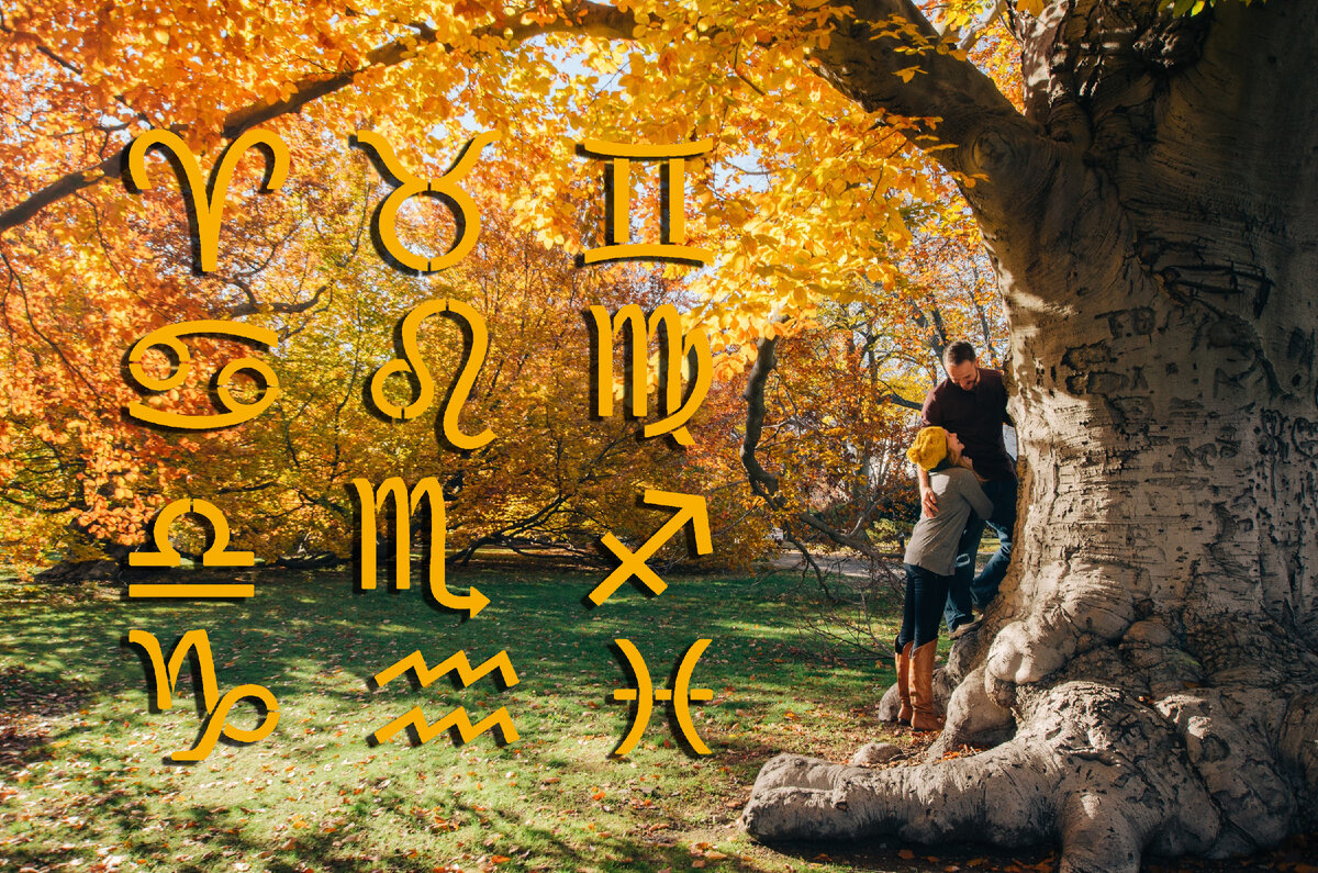 Источник: pixabay.com