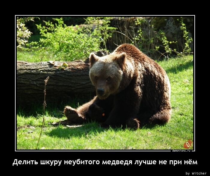 взято из свободных источников