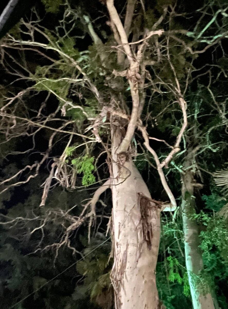 Беда. Работа Т. Федуловой.