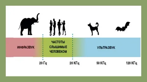 Приделы чистот 