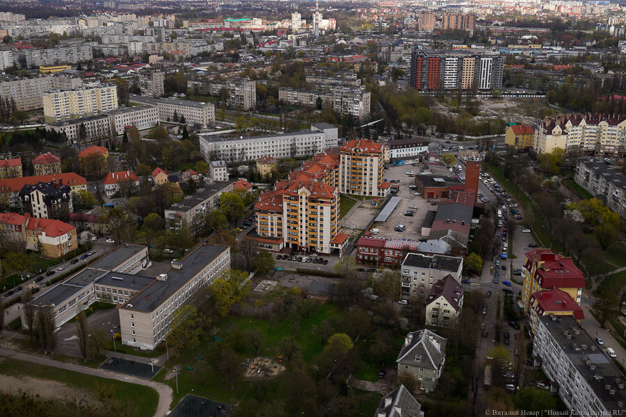 Фото: Виталий Невар / Новый Калининград