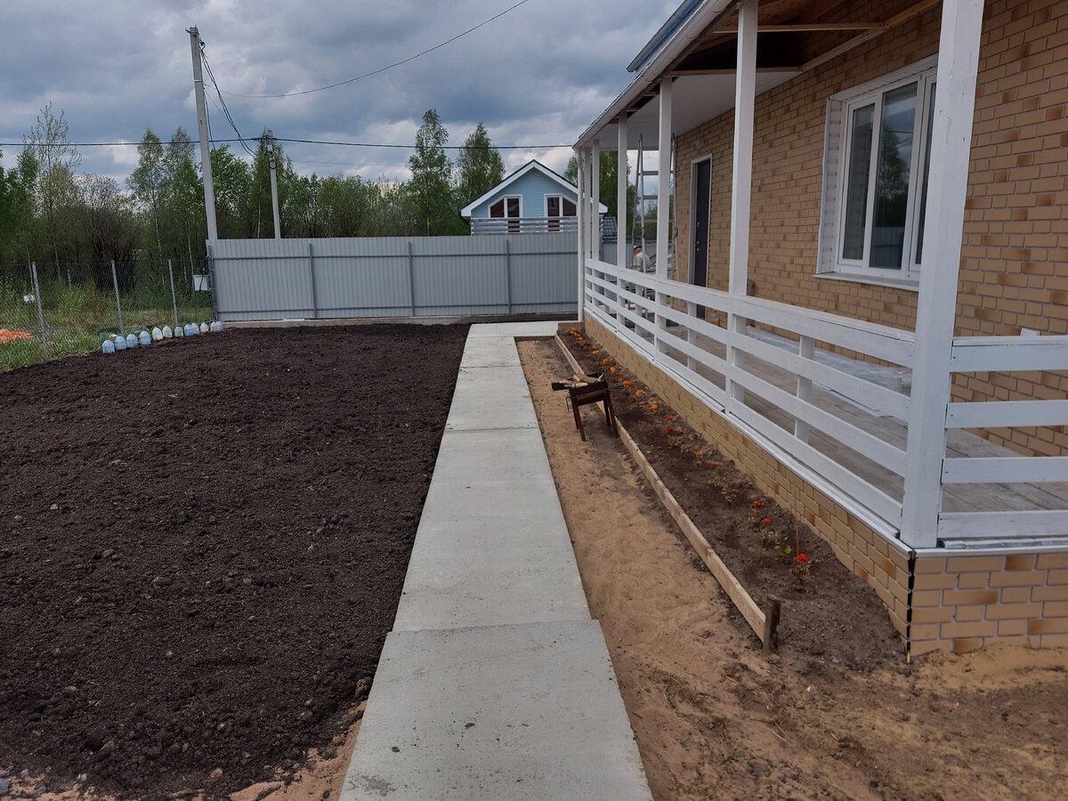 Дом. Посадил газонку.