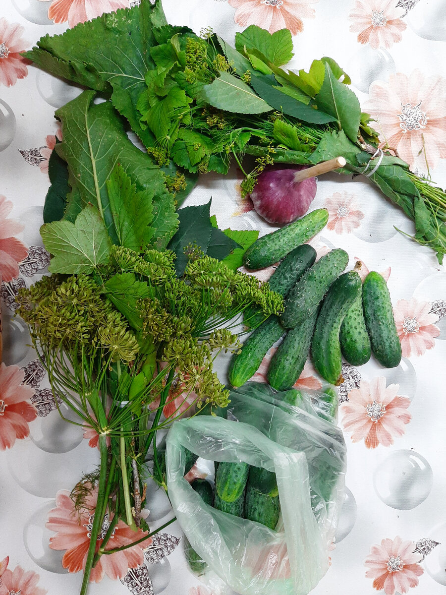 Два пучка зелени для маринада 