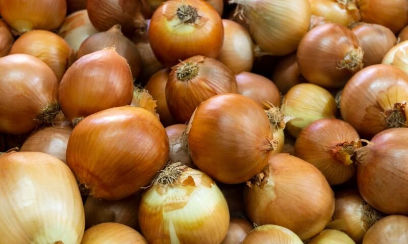 Фото freepik.com