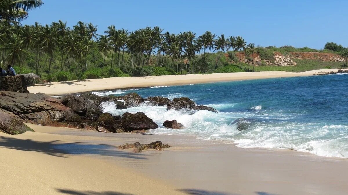     С ноября из Красноярска на Шри-Ланку будут летать чартеры.