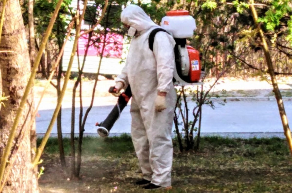    В Тюмени начался второй этап противоклещевой обработки