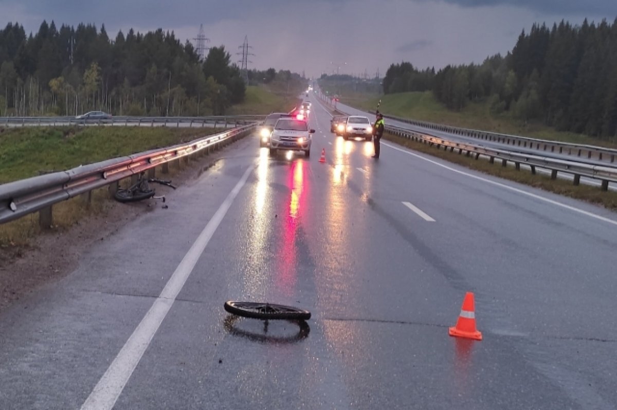    На трассе в Прикамье автомобиль насмерть сбил неизвестного велосипедиста