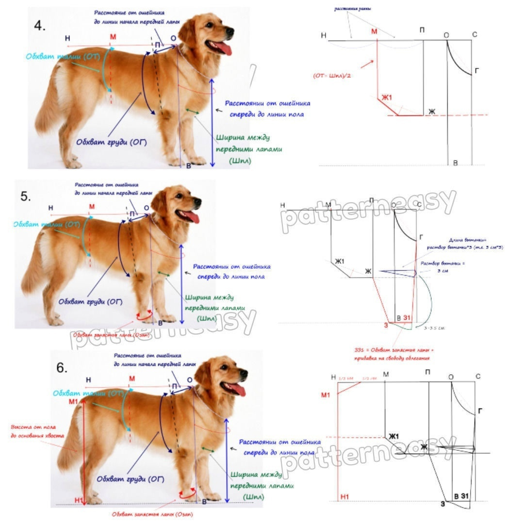 Комбинезон для собаки выкройка для крупных пород