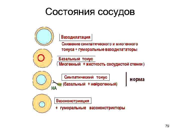 Методы разделения гомосферы и ноксосферы