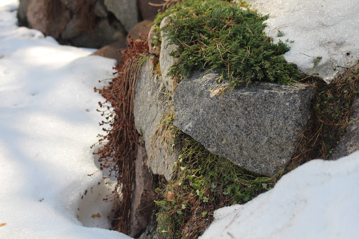 начало апреля