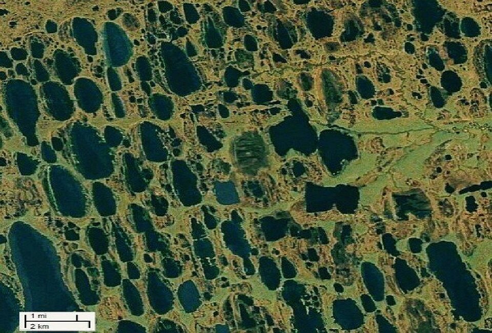 С высоты они чем-то похожи на соты