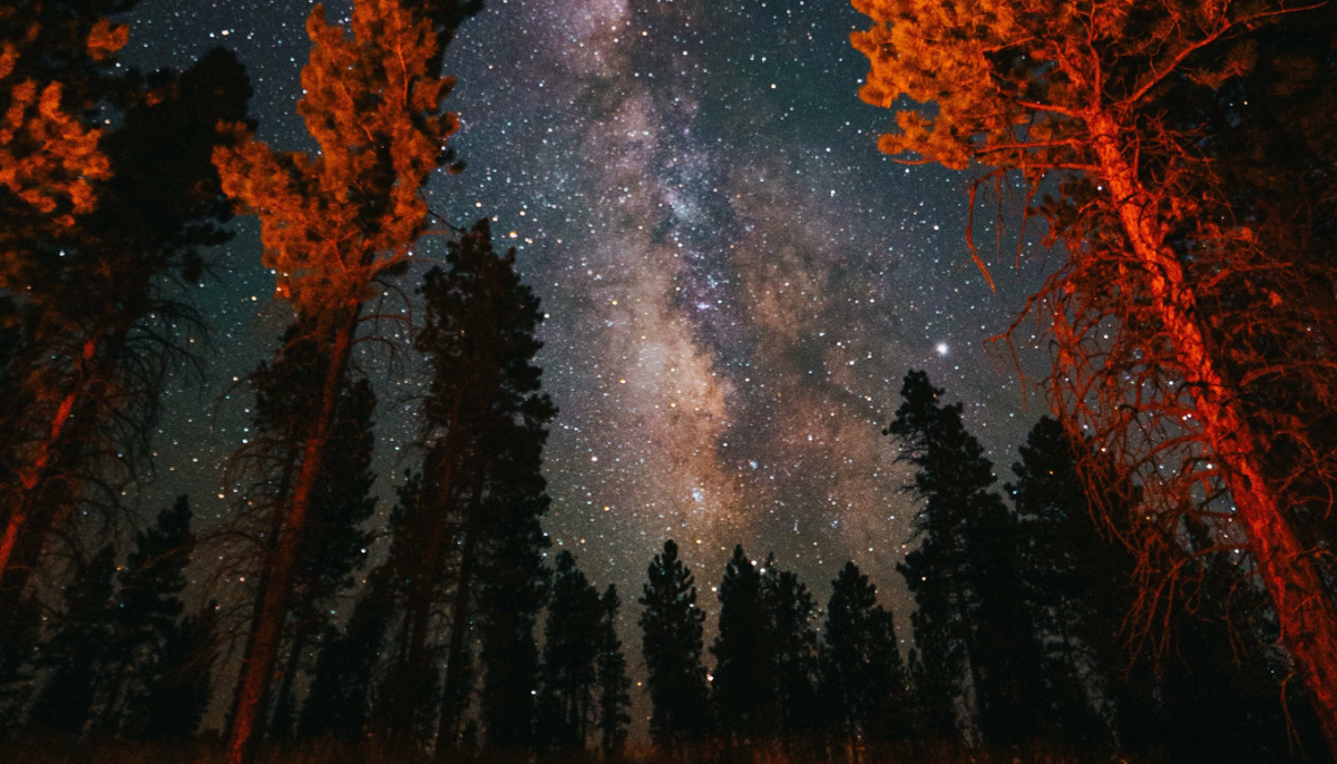 Картинки Яндекс