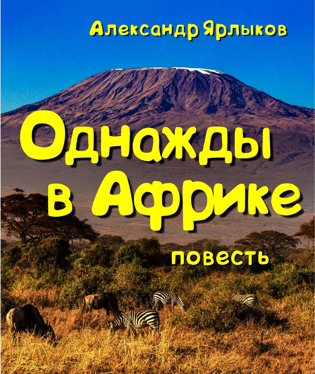 Однажды в Африке