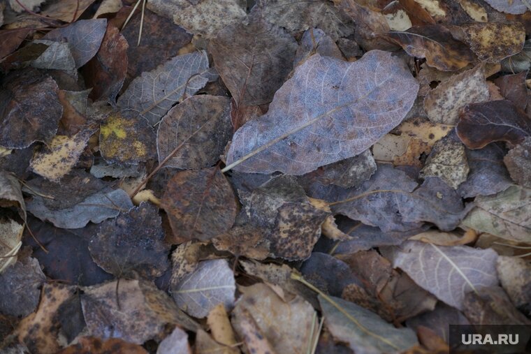    Температура воздуха опустится до -5 градусов ночью 12—15 сентября