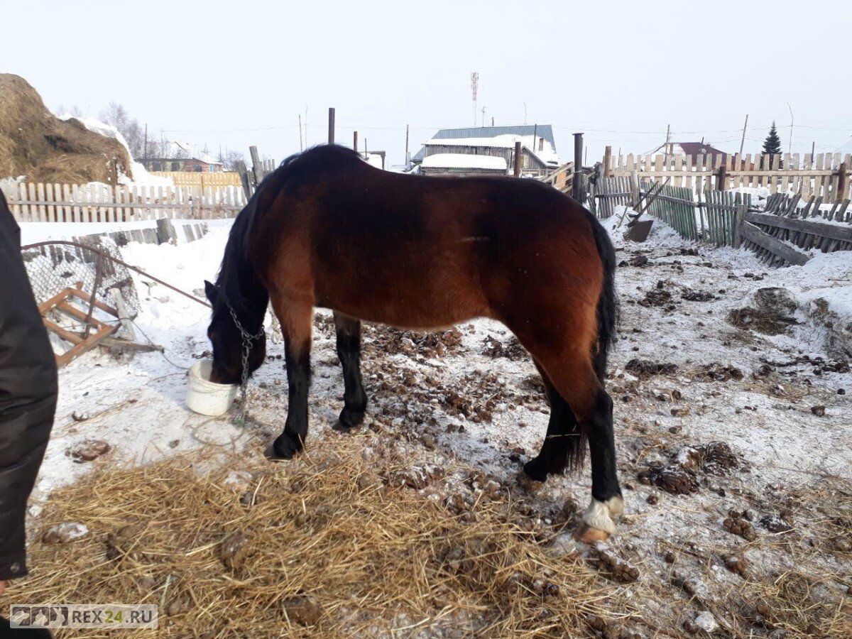 Фото: УФССП России по Кемеровской области
