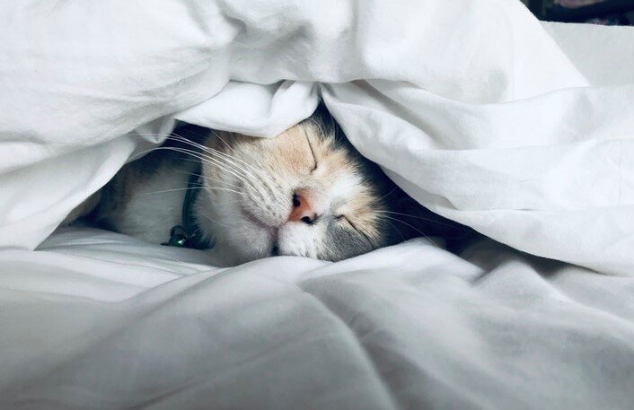 С ВОЗРАСТОМ организм понимает лучше : КОГДА ему спать !!!