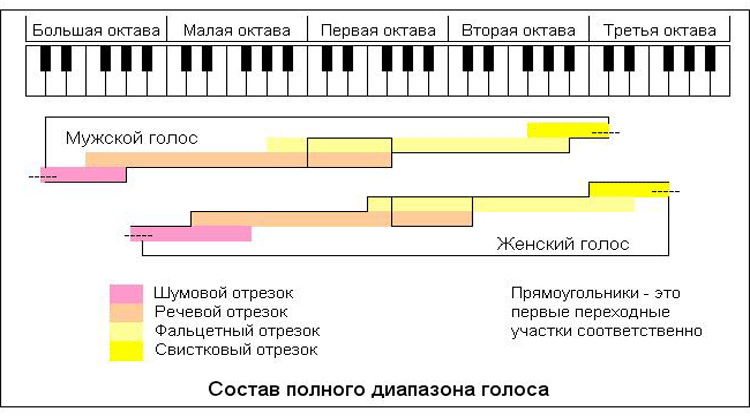 Звонко и громко. Какие продукты полезны или вредны для голоса | Аргументы и Факты