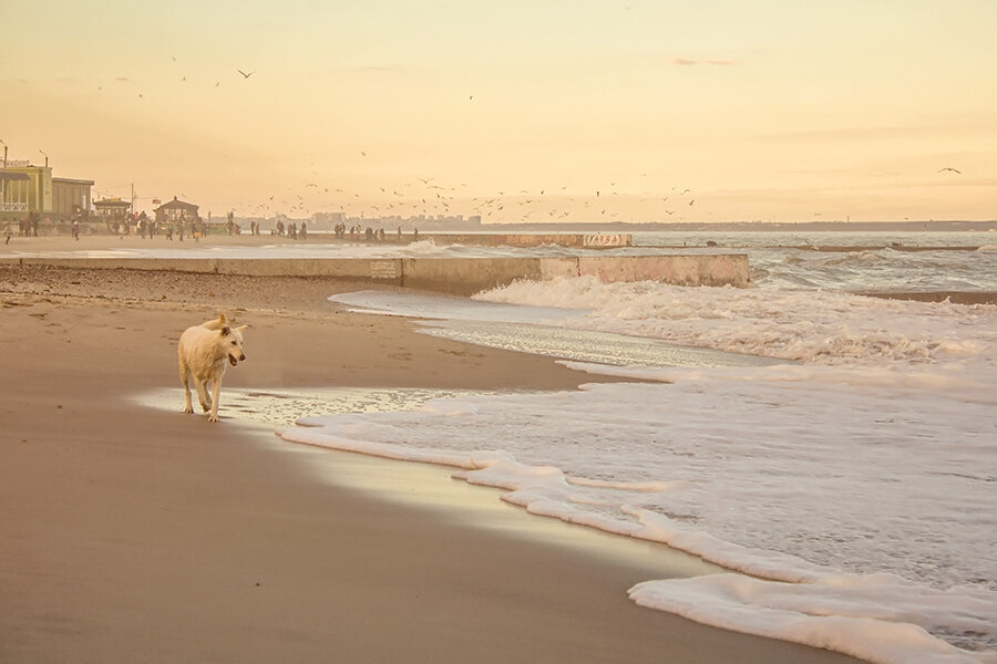 Фото из личного архива