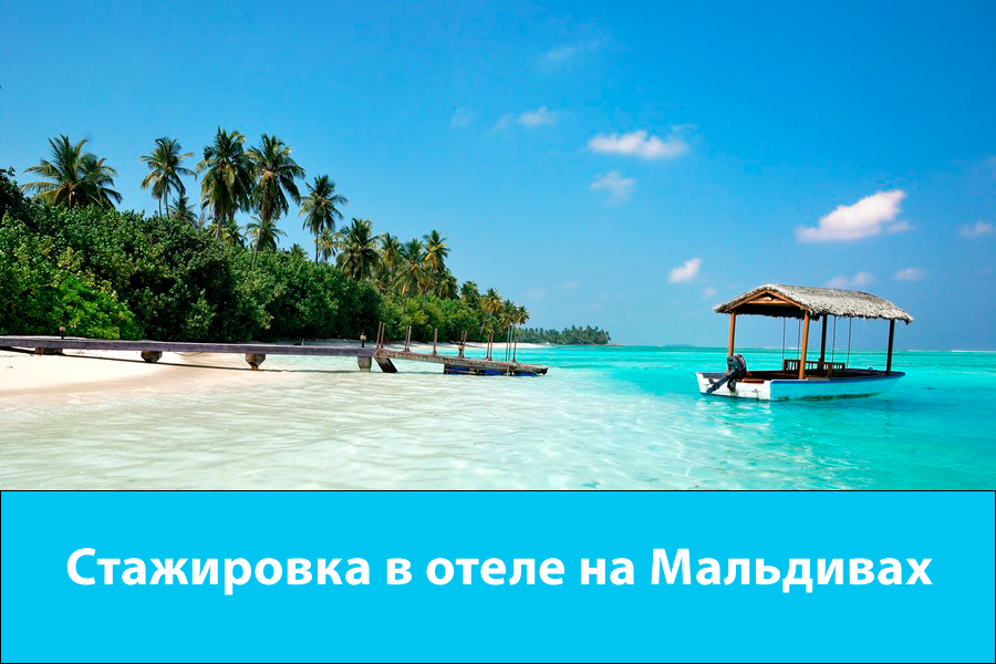 На мальдивы нужна виза. Мальдивы прикольные картинки. Мальдивы прикол. Мальдивы смешные картинки. Высказывания про Мальдивы