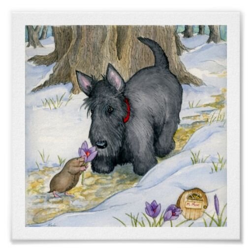 Изображение взято из открытого источника 