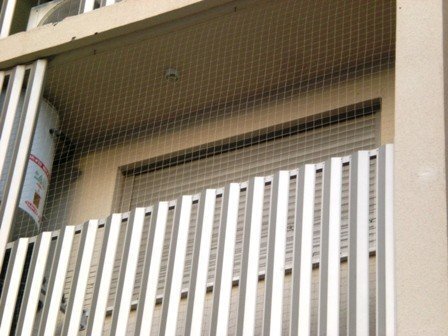 На не застекленном балконе повесьте мелкую сетку, или же натяните на краю несколько тоненьких веревок.