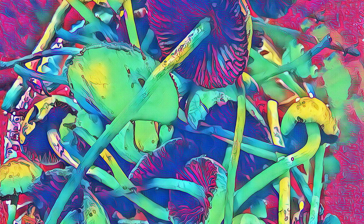 время приключений психоделика. хиппи lsd. психоделические картинки. приключения психоделиков. рик и морти психоделика.