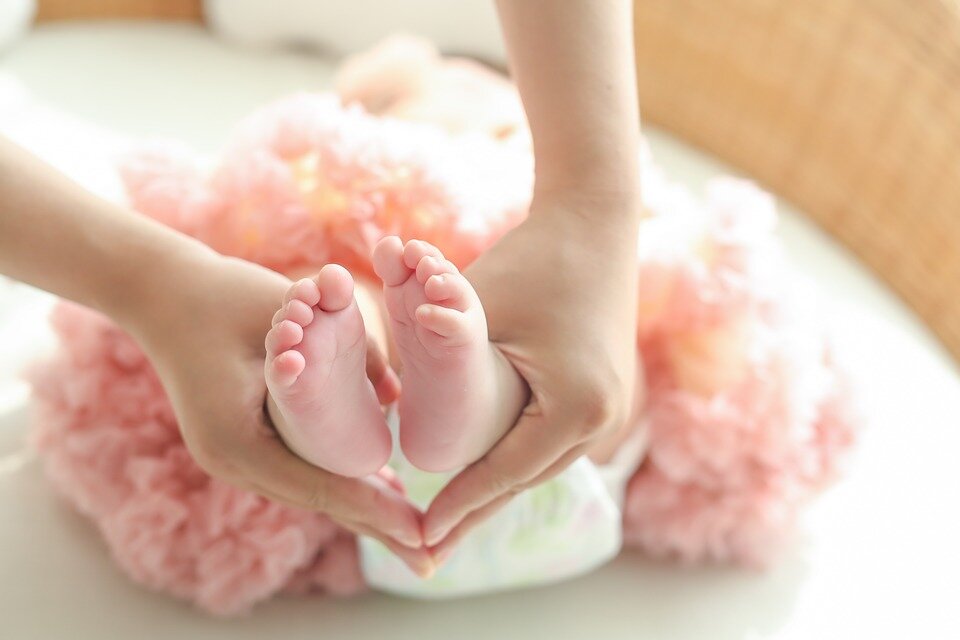 Фото:pixabay.com