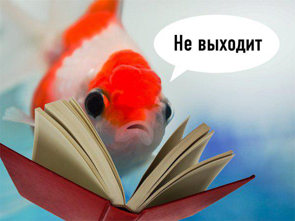 это я, когда учусь писать новый кандзи