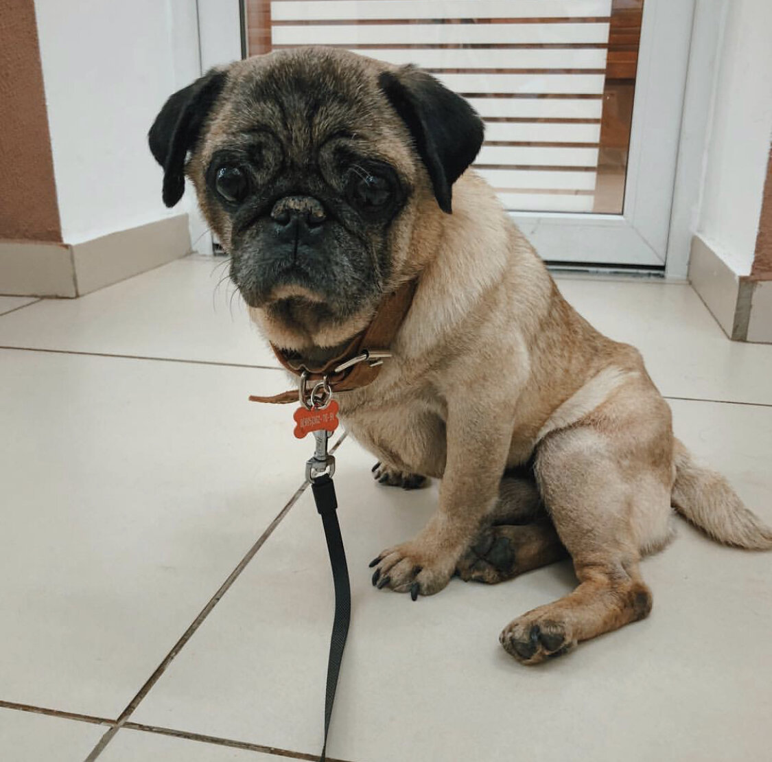 То самое фото из приюта, которое увидели ребята, перед тем, как в последствии станет ясно, забрать Барни навсегда. 