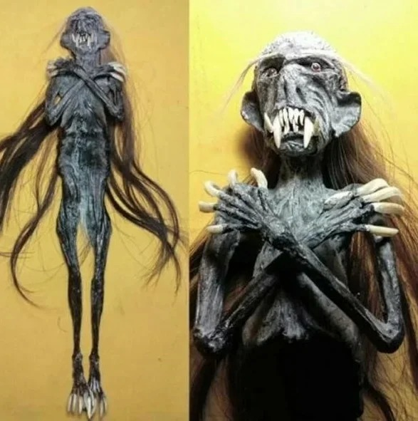 Фото взято из salik.biz.